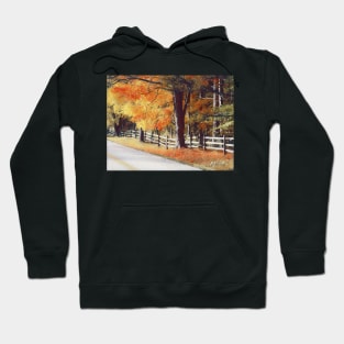 Maine Fall Season Hoodie